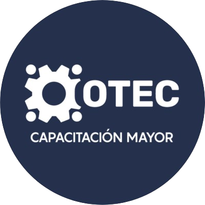 Descripcion de la imagen
